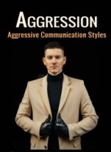 Aggression PLR Sales Funnel-image