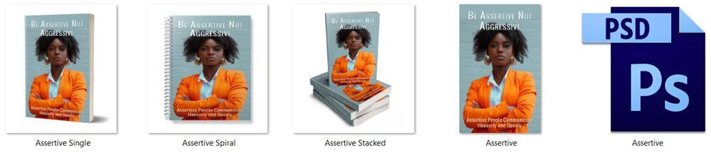 Be Assertive Not Aggressive PLR Report eCover Graphics