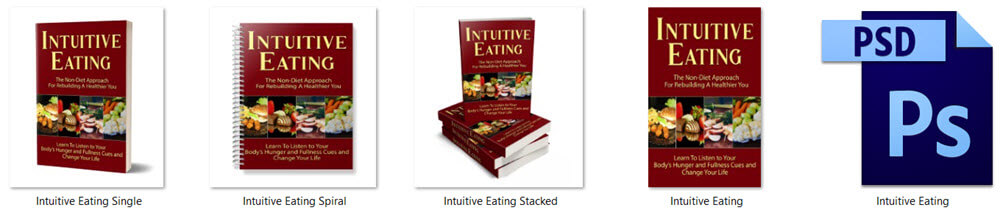 Intuitive Eating PLR eBook Cover Graphics