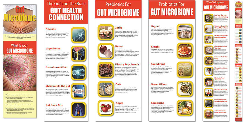 Gut Microbiome PLR Infographics Graphic