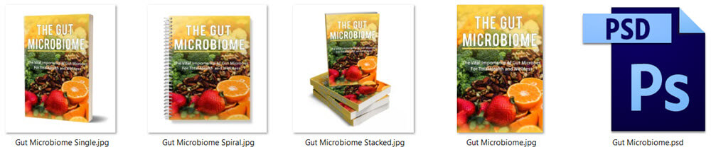 Gut Microbiome PLR eBook Cover Graphic