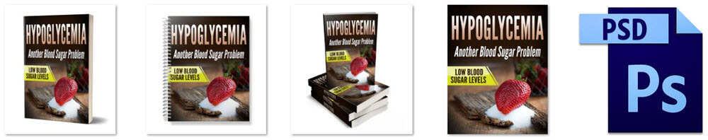 Hypoglycemia PLR Report eCover Graphics