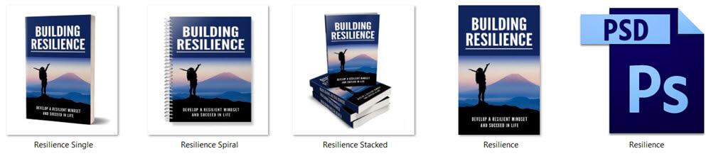 Resilience PLR eCover Graphics