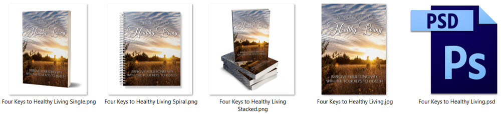 Four Keys To Healthy Living PLR Report eCover Graphics
