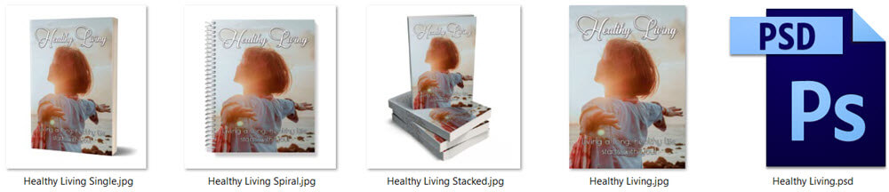 Healthy Living PLR eCover Graphics