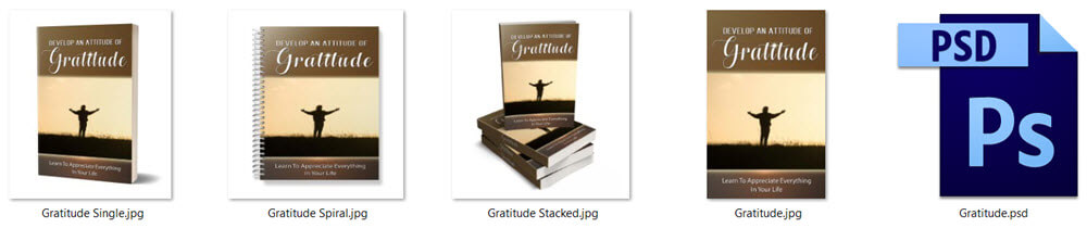 Gratitude PLR eBook Cover Graphics