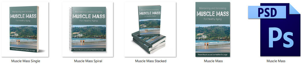 Muscle Mass PLR Report eCovers