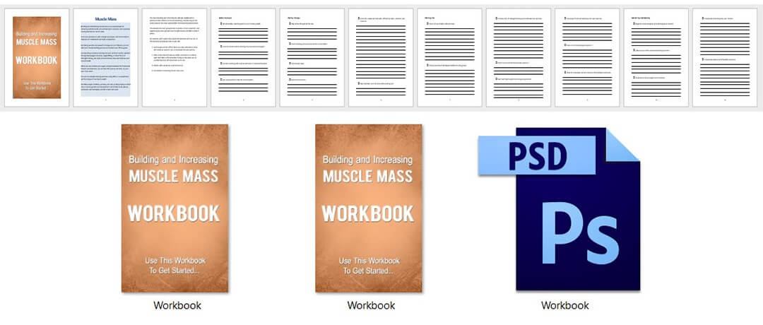 Muscle Mass PLR Workbook