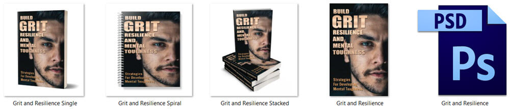 Grit, Resilience and Mental Toughness PLR Report eCover Graphics