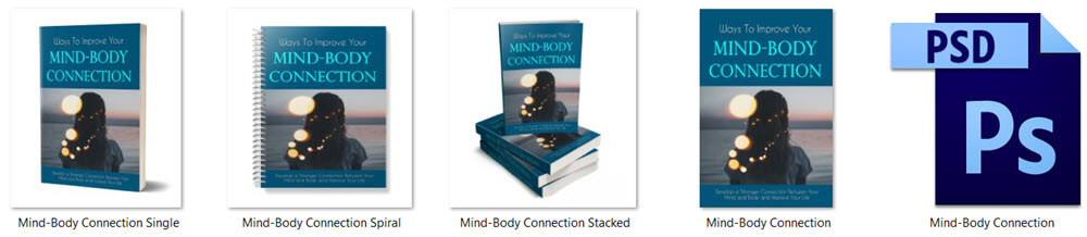 Mind-Body Connection PLR Report eCover Graphics