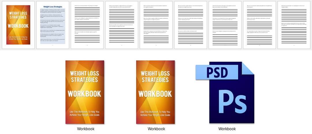 Weight Loss PLR Workbook