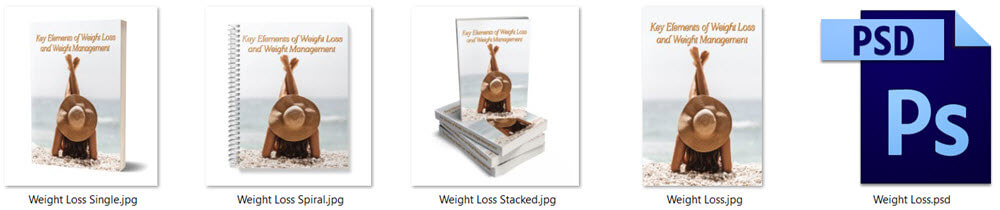 Weight Loss and Weight Management PLR Report