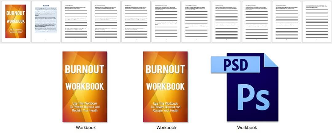 Burnout PLR Workbook