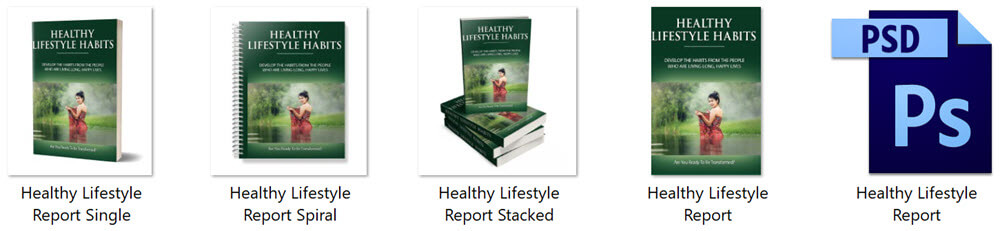 Healthy Lifestyle Habits PLR Report eCover Graphics