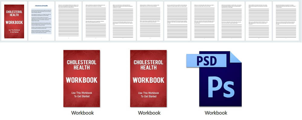 Cholesterol PLR Workbook
