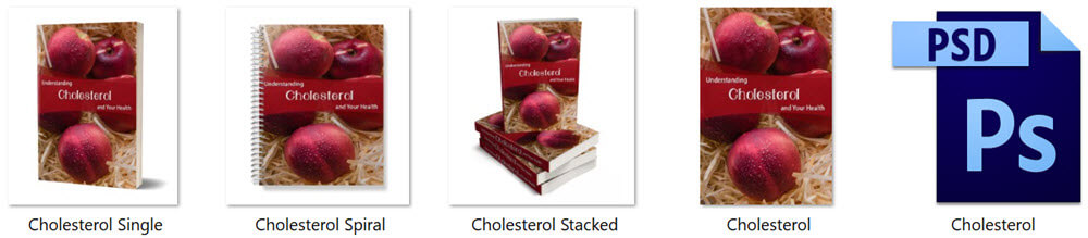 Cholesterol PLR eBook Cover Graphics