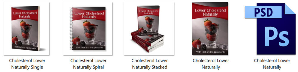 Lower Cholesterol Naturally PLR Report eCover Graphics