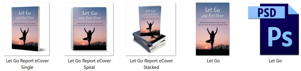 Letting Go PLR Report eCover Graphics