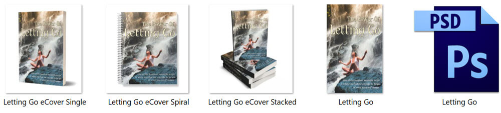 Letting Go PLR eBook eCover Graphics