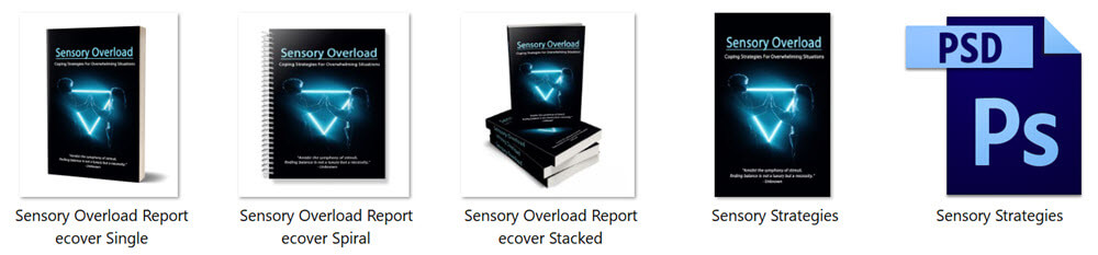 Sensory Overload PLR Report eCover Graphics