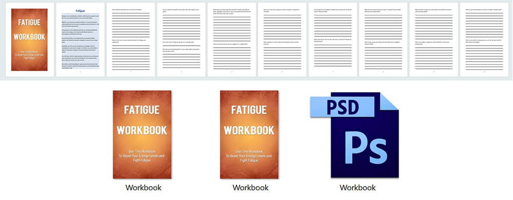 Fatigue PLR Workbook