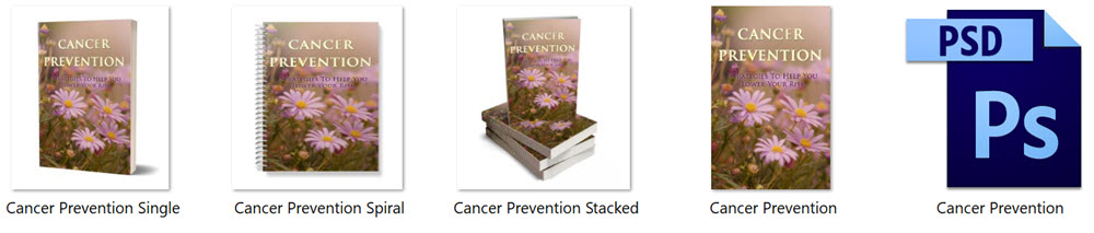 Cancer Prevention PLR eBook eCover Graphics