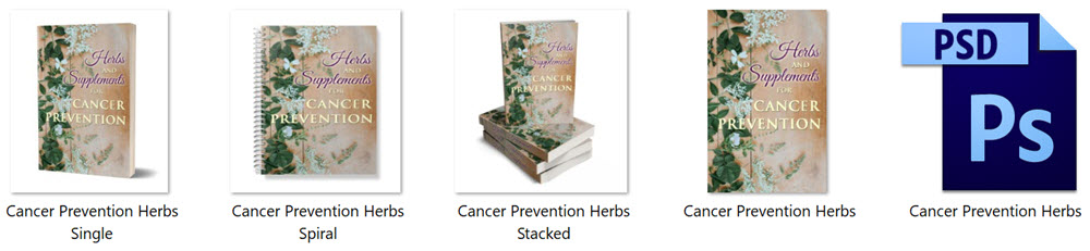 Herbs and Supplements For Cancer Prevention PLR Report eCover Graphics