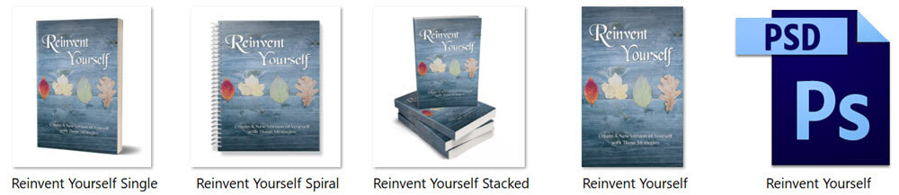 Reinvent Yourself PLR Report eCover Graphics