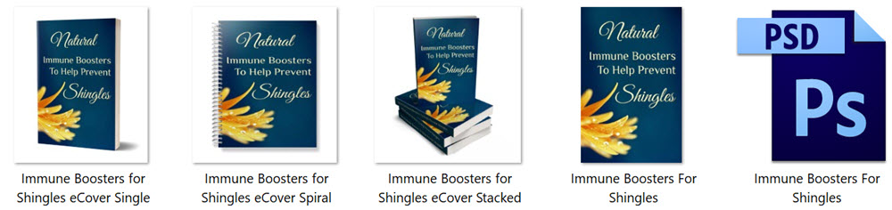 Shingles PLR Report eCover Graphics