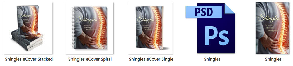 Shingles PLR eBook Cover Graphics