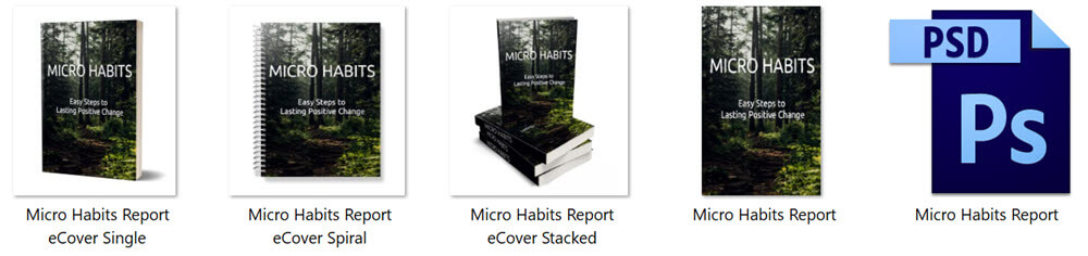 Micro Habits PLR Report eCover Graphics