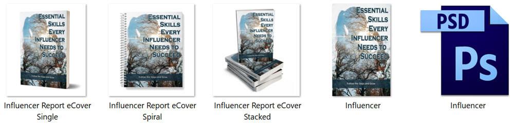 Essential Skills For Influencers PLR Report eCover Graphics