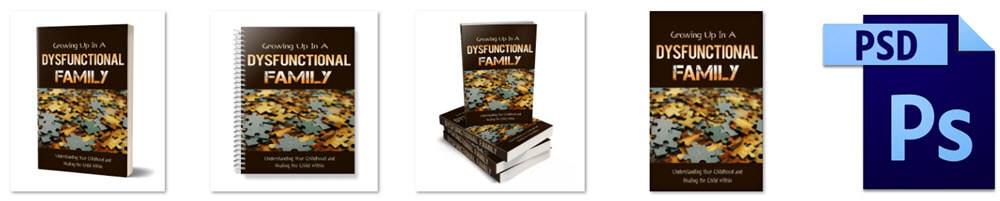 Dysfunctional Families PLR Report eCover Graphics