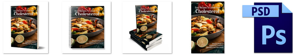 Lower Cholesterol PLR Report eCover Graphics